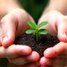 Hands holding sprout icon symbolizing community and local partnership