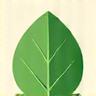 Green leaf icon symbolizing eco-friendly products